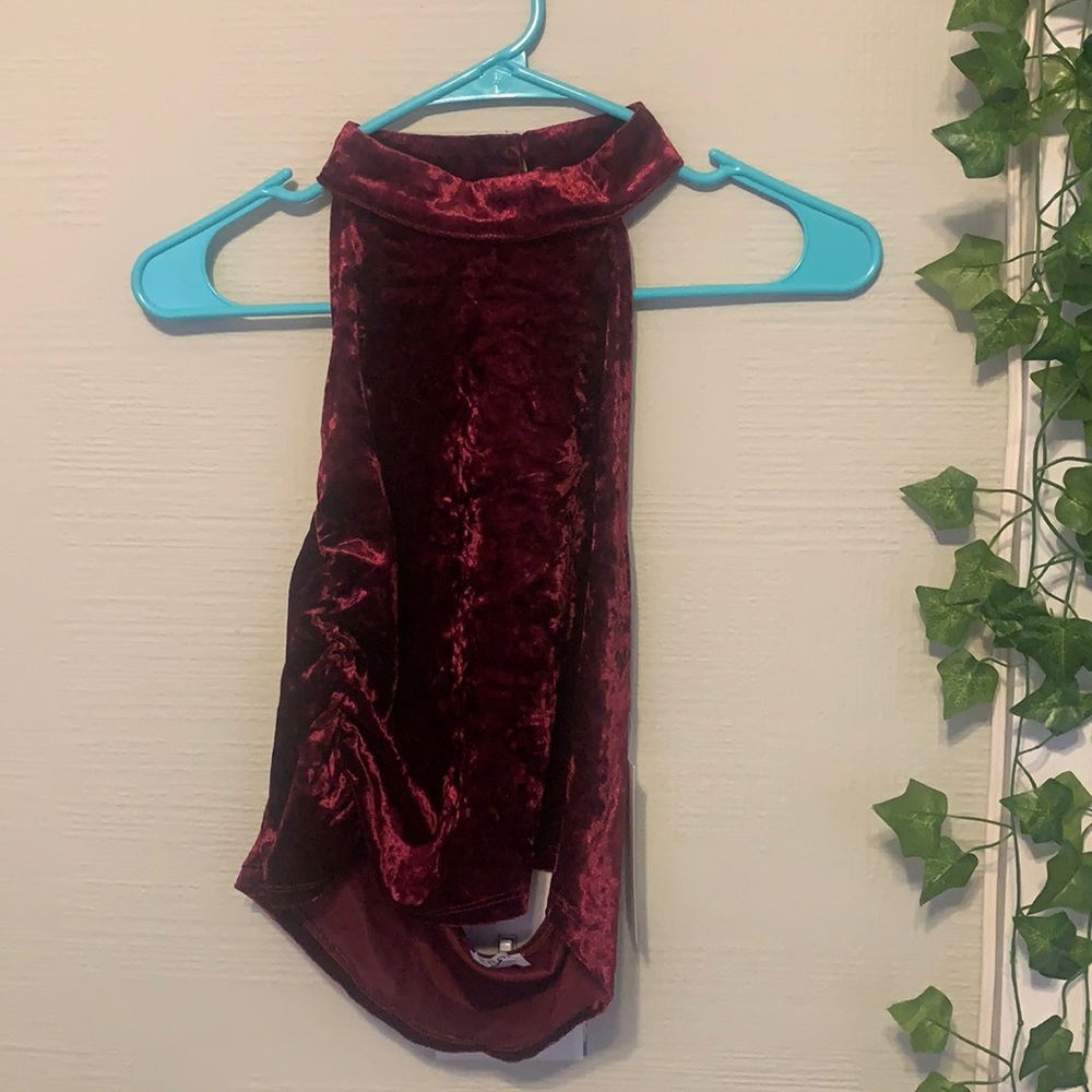 Red Velour High Neck Crop Top